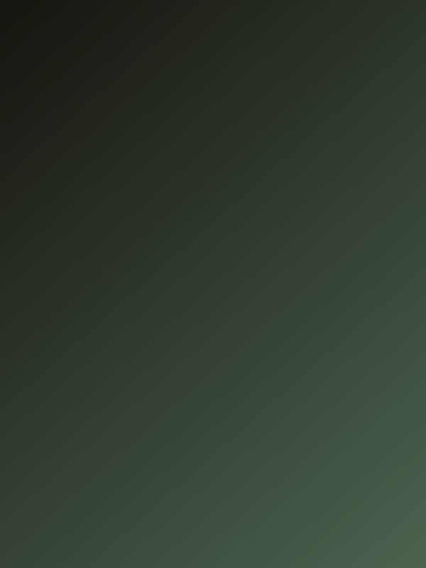 Vigils hoodie — Ryan O'hara